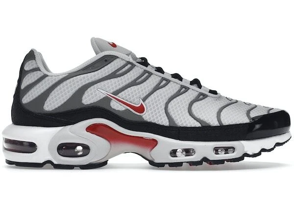 Size 12 - Nike Air Max Plus Gray - DM0032 002 - Image 1 of 1