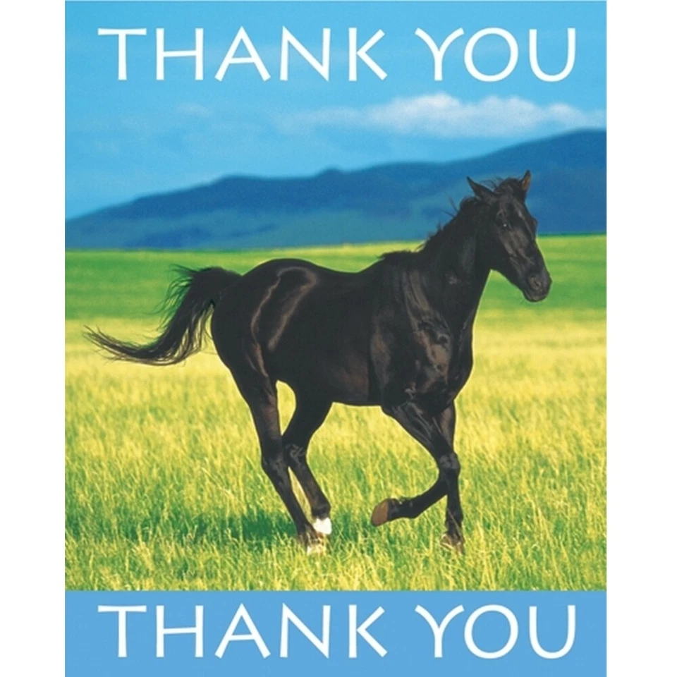 Wild Horses Thank You Notes 8CT - Image 1 of 1