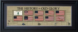History Of Old Glory Framed Print Poster 36x11.75 Flag Grooved Frame Molding 2" - Picture 1 of 17