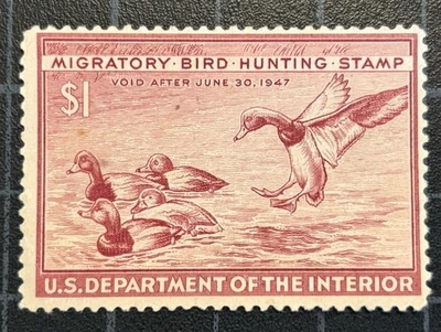 US Stamps - SC# RW13  - Duck Stamp - MOG NH - SCV $50.00 - Image 1 of 2