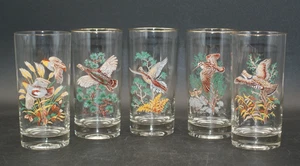 Vintage West Virginia Glass Co Game Bird Glass/ Tumbler Highball Set of 5 - Picture 1 of 9