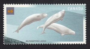 BELUGA WHALE = OCEAN = Canada 2000 #1871 MNH - Picture 1 of 1