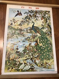 Vintage Chinese 100 Birds  Art Poster Printed In Hong Kong 30x20 Inches - Picture 1 of 8
