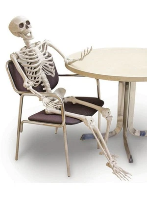 Posable 5-ft. Tall Skeleton Party Decoration - Image 1 of 4