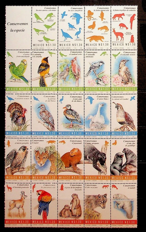 MEXICO Sc 1875 NH BLOCK OF 24 OF 1994 - BIRDS & ANIMALS - (CT5) - Image 1 of 1