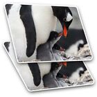 2 x Rectangle Stickers 7.5 cm - Gentoo Penguin Chicks Cute Cool Gift #2320