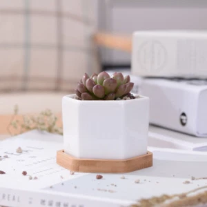  3 Sets Small Six-sided Flower Pot Cactus Pots Mini Ceramic Planter - Picture 1 of 7
