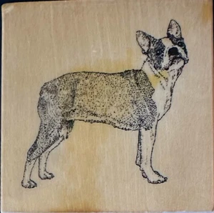 Estampilla de goma montada en madera DOG Boston Terrier nunca usada 24025 cachorro - Imagen 1 de 4