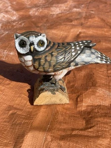 Hand Carved & Painted Owl On Log Hand Painted And Signed ByAndy Anderson 8" X 6" - Picture 1 of 6