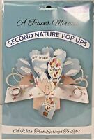 Details about   A Paper Miracle Pop Up Greeting Card GRADUATION Second Nature Pop Ups Owl