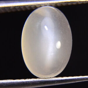 Moonstone Cat's Eye Natural Untreated oval round Cabochon Loose Gemstone