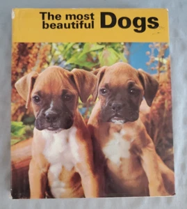 The Most Beautiful Dogs by Alfred Barbou -Vintage Hardcover - Imagen 1 de 7