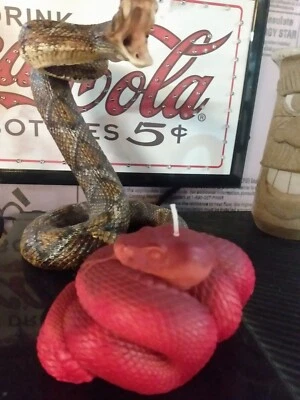  Vela cascavel de canela vermelha 3D - - Imagem 1 de 3