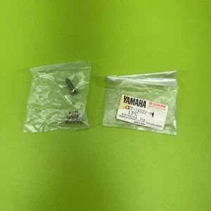 NOS OEM YAMAHA 81-85 VIRAGO750/1000 XV920RH/J XV920J SCREW THROTTLE 4X7-14321-01 - Bild 1 von 4
