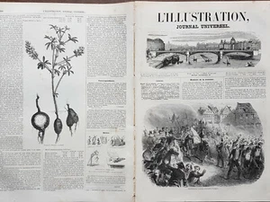 L'Illustration 1849 N331 Dissolving The Parliament German To Stuttgard - Picture 1 of 2