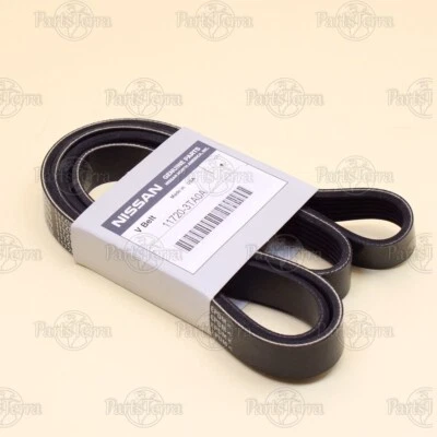 117203TA0A Genuine OEM Nissan 2015-2020 ROGUE / 2013-2018 ALTIMA Serpentine Belt - Image 1 of 4