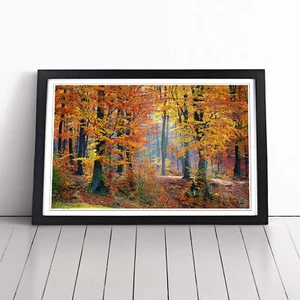 Landscape Forest In The Autumn Wall Art Print Framed Canvas Picture Poster Decor - Picture 1 of 7