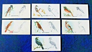BIRD PAINTING , 1938, JAY, ROOK, REDSTART, GODFREY PHILLIPS CIGARETTE CARDS, VGC