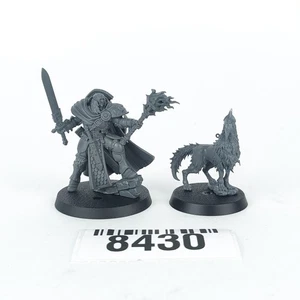 Warhammer Age of Sigmar Stormcast Eternals Lord-Veritant & Knight-Questor - Picture 1 of 2