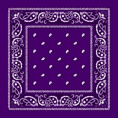 Lote de 12 Venta al por mayor Paisley Estampado Bandana 100% Algodón Cabeza Warp Bufanda Mascarilla Facial Foto 1 de 4