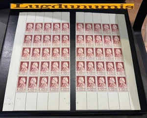 Planche Timbre N° 748 50 Timbres 1946 Propagande Sanitaire A. Fournier 2 F + 3 F - Imagen 1 de 1
