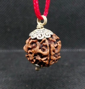 4 Mukhi Rudraksha Pendant Four Face Rudraksh Nepal Origin 100% Real Energized - Picture 1 of 1