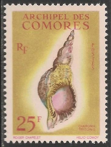Comoro Islands #53 (A9) VF MINT LH - 1962 25fr Charonia Tritonis Sea Shell Cover