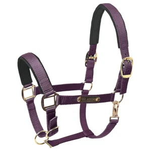 97HI XS S M L HILASON Western Horse Top Grade Nylon Comfortable & Flexible - Picture 1 of 33