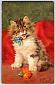 KATZE, Kätzchen D. Merlin Künstler signierte alte Farbpostkarte Nr.165 P4 - Bild 1 von 2