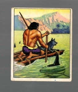 Wild Man Karte # 9 - Bowman (1950) Seeing the World - Bild 1 von 2