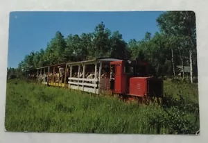 The Toonerville Trolley Postcard (B2) See Description) - Picture 1 of 2