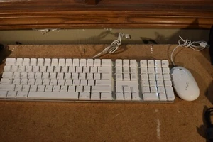 Genuine Apple Wired See-through A1048 USB Keyboard and A1152 Mighty Mouse - Picture 1 of 24