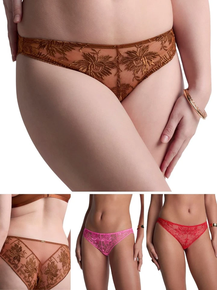 Aubade Rules of Attraction Italian Brief Knickers Mid Rise Briefs Embroidered
