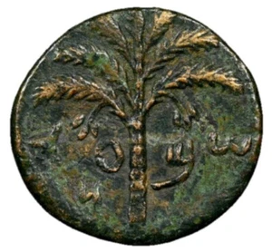 NGC ChVF BAR KOKHBA Kochba 132-135 Jewish War Revolt YEAR 2 Judaea Middle Bronze - Picture 1 of 7