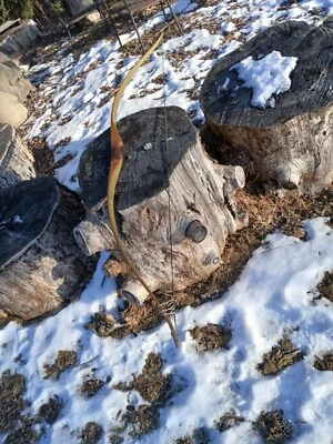 Vintage Bear Archery  Cub semi-recurve 43# 1957 RHLH - Image 1 of 4