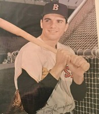 1966 Boston Red Sox Tony Conigliaro  8 X10 Photo  Pack Color Set Of 8 Radatz Mt