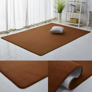 Thick Coral Velvet Carpet Modern Area Carpet Modern Bedroom Bedside Rug