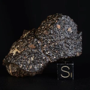 Météorite NWA 14161 de 47,82 g et son Livret Chondrite Carbonée Type CV3 - Picture 1 of 13