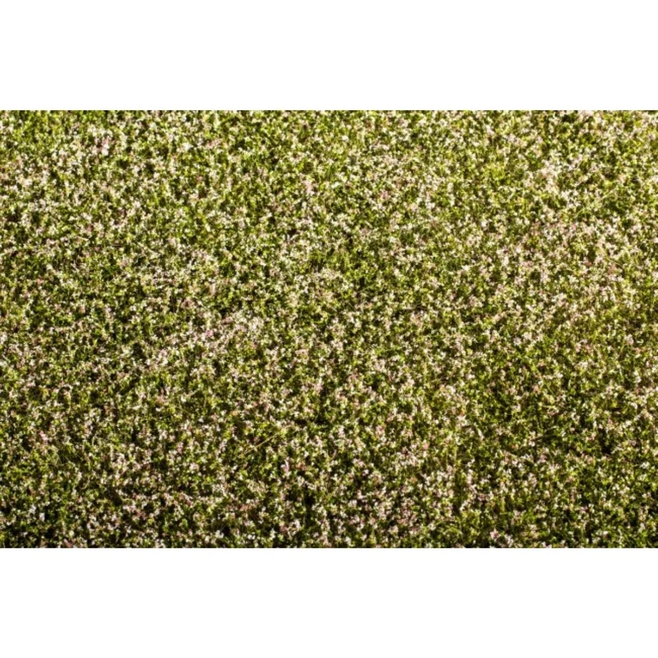 Fertige Grasmatte Blühender Klee 18x28cm - Eisenbahn Begrünung Landschaft - Bild 1 von 1