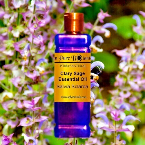 1oz 2oz 4oz 8oz 16oz · 50+ Bulk Essential Oils · 100% Pure · NEW! · Aromatherapy - Image 1 of 1