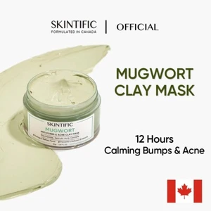 SKINTIFIC Mugwort Acne Clay Mask 55gr - Picture 1 of 7