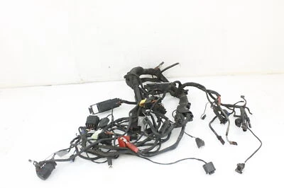 05-07 BMW R1200GS ARNÉS CABLEADO MOTOR TELAR SIN ESA Foto 1 de 4