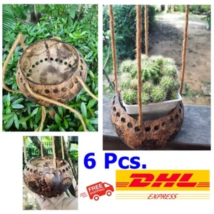 6X Coconut Shell Hanging Plant Pot Basket Flower Orchid Garden Decor Balcony 4" - Picture 1 of 12