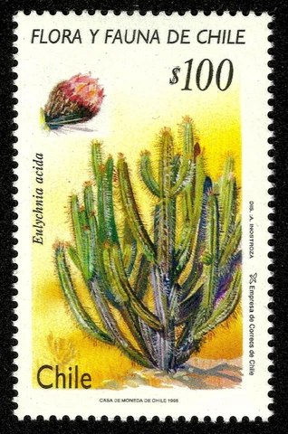 CHILE, FLORA, CACTUS, EULYCHNIA ACIDA, MNH, YEAR OF ISSUE: 1995 Cover