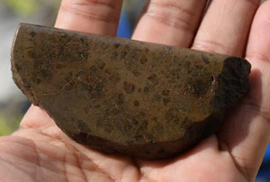 NWA Howardite Meteorite Slice - HED Achondrite (Vesta Origin) 95g, 3.5” Display - Picture 1 of 8