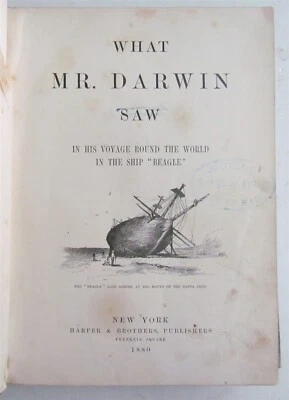 1880 WHAT MR. DARWIN SAW IN HIS VOYAGE ROUND THE WORLD IN SHIP BEAGLE ANTIQUE  - Imagem 1 de 4