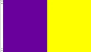 3' x 2' PURPLE and YELLOW GOLD FLAG Irish Ireland Wexford GAA Gaelic Football - Picture 1 of 1
