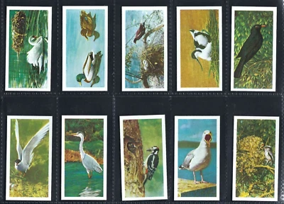BROOKE BOND - BRITISH BIRDS - FULL SET OF 20 CARDS - Image 1 of 4
