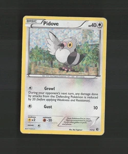 Pidove 11/12 McDonalds 2011 Promo HOLO BLEED Pokemon Card DMG - Picture 1 of 10