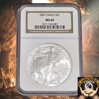 2007 $1 American Silver Eagle NGC MS69 Brown Label, Needs A New Home Fast 🚢  Foto 1 de 4